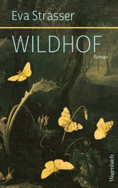 Eva Strasser Wildhof: Roman (Quartbuch)