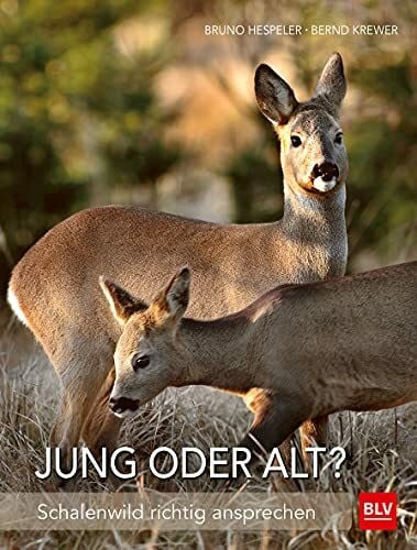 Krewer, Bernd Jung oder alt?: Schalenwild richtig ansprechen (BLV Jagdpraxis)
