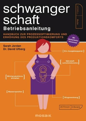 Wirth, Karin Schwangerschaft - Betriebsanleitung: Handbuch zur Prozessoptimierung und Erhöhung des Produktkomforts - Mit Sicherheitshinweisen