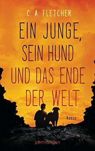 Lamatsch, Vanessa Ein Junge, sein Hund und das Ende der Welt: Roman