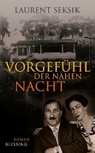 Laak, Hanna van Vorgefühl der nahen Nacht: Roman