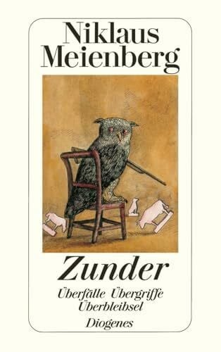 Meienberg, Niklaus Zunder: Überfälle, Übergriffe, Überbleibsel (detebe)