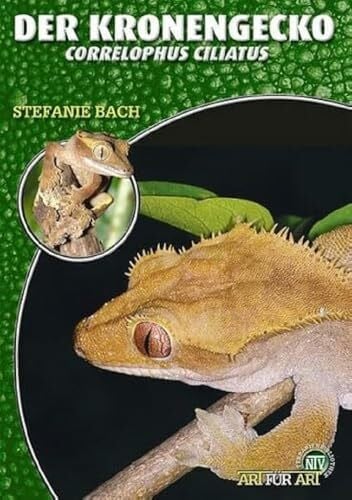Stefanie Bach Der Kronengecko: Rhacodactylus ciliatus: Rhacodactylus ciliatus. Art für Art (Buchreihe Art für Art Terraristik)