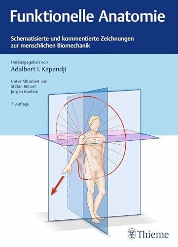 Kapandji, Adalbert I. Funktionelle Anatomie: Schematisierte und kommentierte Zeichnungen zur menschlichen Biomechanik
