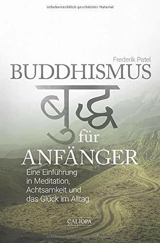 Patel, Frederik Buddhismus für Anfänger: Eine Einführung in Meditation, Achtsamkeit und das Glück im Alltag