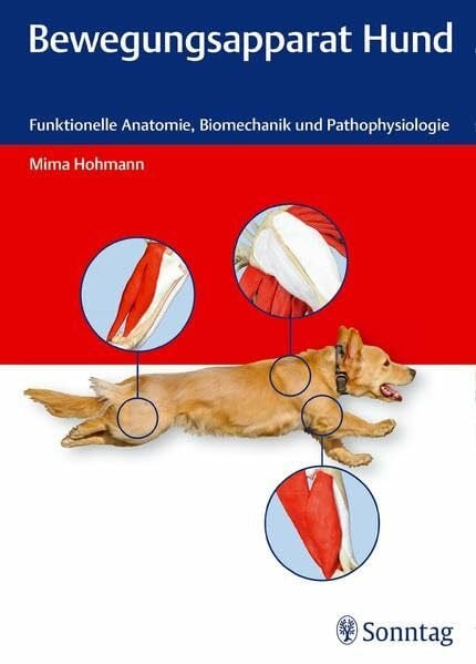 Hohmann, Mima Bewegungsapparat Hund: Funktionelle Anatomie, Biomechanik und Pathophysiologie