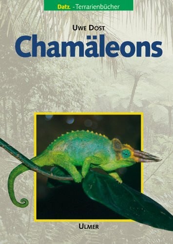 Dost, Uwe Chamäleons (Datz Terrarienbücher)