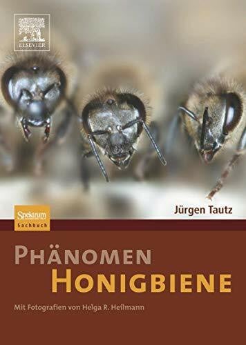 Heilmann, Helga R. Phänomen Honigbiene