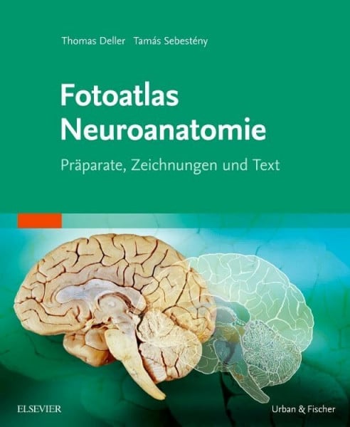 Sebestény, Tamás Fotoatlas Neuroanatomie: Präparate, Zeichnungen und Text