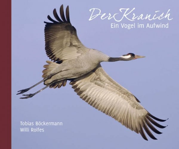 Willi Rolfes Der Kranich: Ein Vogel im Aufwind