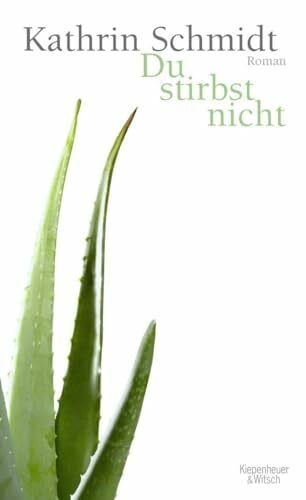Schmidt, Kathrin Du stirbst nicht: Roman