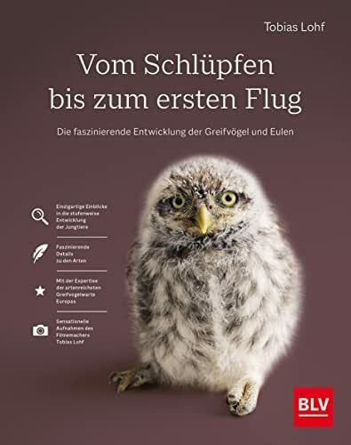 Lohf, Tobias Vom Schlüpfen bis zum ersten Flug: Die faszinierende Entwicklung der Greifvögel und Eulen (BLV Vögel)