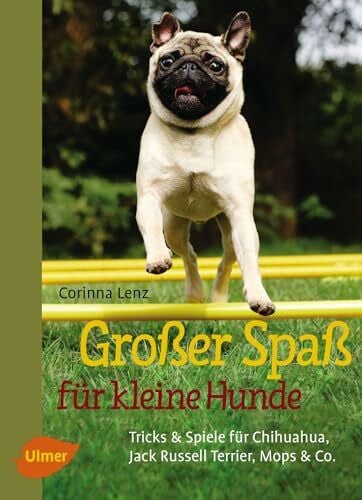 Lenz, Corinna Großer Spaß für kleine Hunde: Tricks & Spiele für Chihuahua, Jack Russell Terrier, Mops & Co.