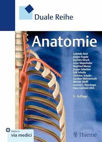 Mense, Siegfried Duale Reihe Anatomie