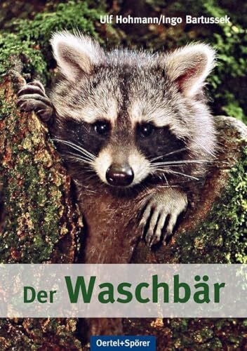 Ingo Bartussek Der Waschbär