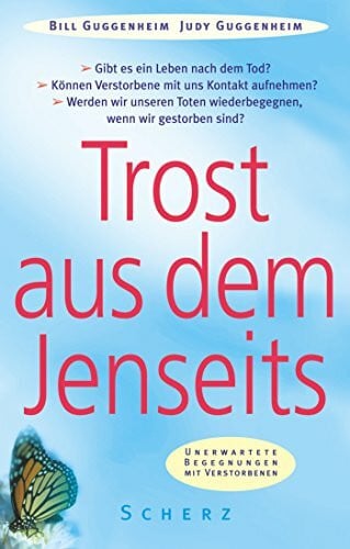 Ueberle-Pfaff, Maja Trost aus dem Jenseits: Unerwartete Begegnungen mit Verstorbenen
