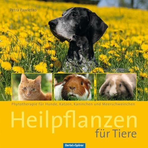 Petra Pawletko Heilpflanzen für Tiere: Phytotherapie für Hunde, Katzen, Kaninchen und Meerschweinchen