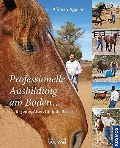 Aguilar, Alfonso Professionelle Ausbildung am Boden: für jedes Alter, für jede Rasse