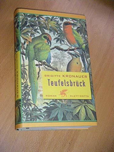 Kronauer, Brigitte Teufelsbrück: Roman