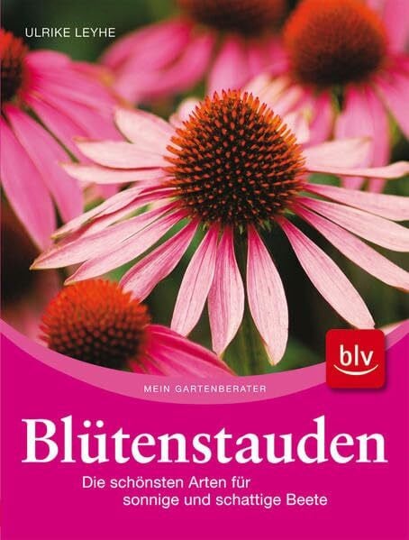 Leyhe, Ulrike Blütenstauden: Die schönsten Arten für sonnige und schattige Beete
