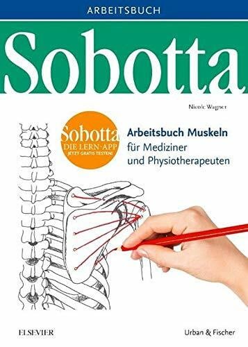 Wagner, Nicole Sobotta Arbeitsbuch Muskeln: Arbeitsbuch für Mediziner und Physiotherapeuten