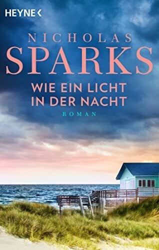 Zöfel, Adelheid Wie ein Licht in der Nacht: Roman