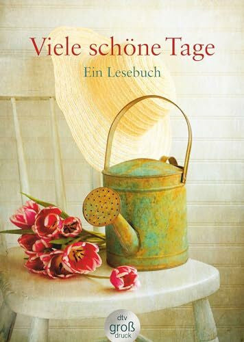 Dick, Helga Viele schöne Tage: Ein Lesebuch (dtv großdruck)