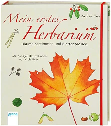 Beyer, Viola Mein erstes Herbarium - Bäume bestimmen und Blätter pressen