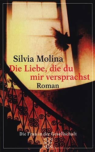 Molina, Silvia Die Liebe, die du mir versprachst: Roman (Die Frau in der Gesellschaft)