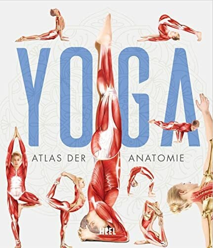 Tengs, Svenja YOGA - Atlas der Anatomie: Yoga Anatomie und Asanas (wissenschaftliche anatomische Illustrationen)