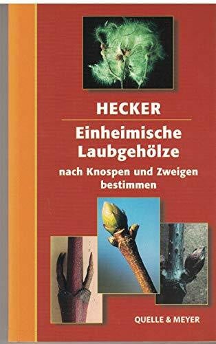 Hecker, Ulrich Einheimische Laubgehölze nach Knospen und Zweigen bestimmen