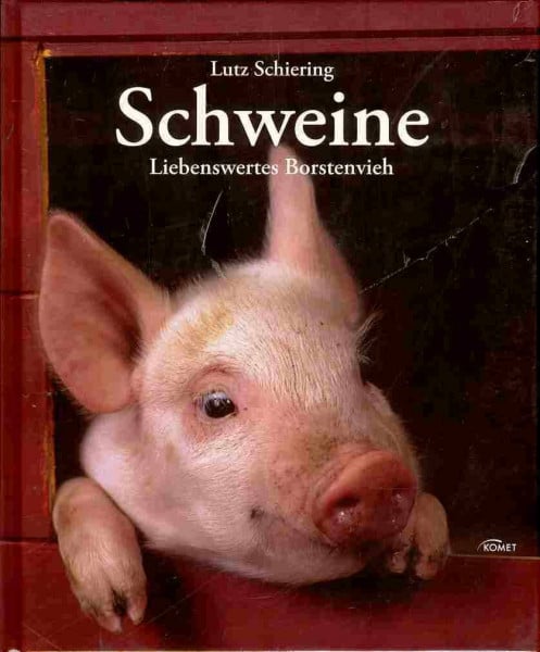 Schiering, Lutz Schweine: Liebenswertes Borstenvieh