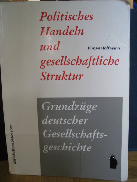 Hoffmann, Jürgen Politisches Handeln und gesellschaftliche Struktur. Politische Soziologie der europäischen und der