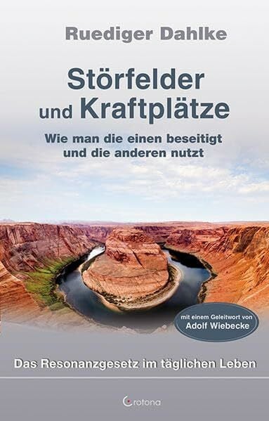 Dahlke, Dr.med. Ruediger Störfelder und Kraftplätze: Wie man die einen beseitigt und die anderen nutzt