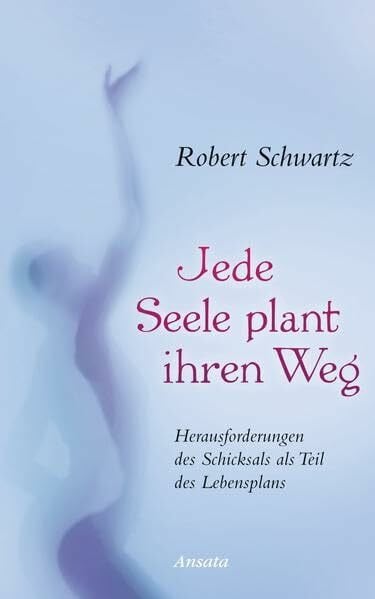 Schwartz, Robert Jede Seele plant ihren Weg: Warum leidvolle Erfahrungen nicht sinnlos sind