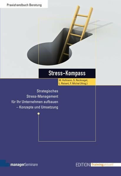 Friederike Michel (Hrsg.) Stress-Kompass: Strategisches Stress-Management für Ihr Unternehmen aufbauen - Konzepte und Umsetzung (Edition Training aktuell)