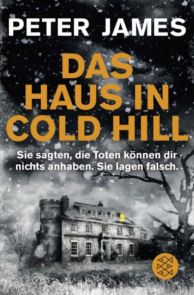 James, Peter Das Haus in Cold Hill: Roman