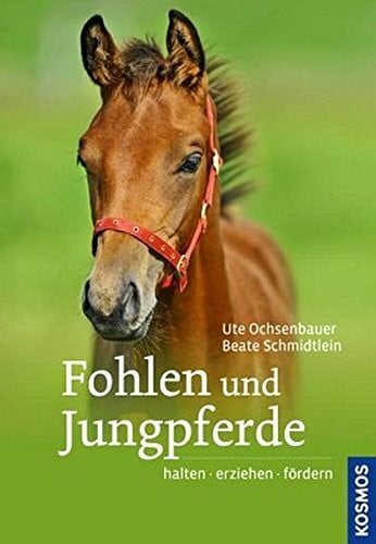 Schmidtlein, Beate Fohlen und Jungpferde: halten, erziehen, fördern