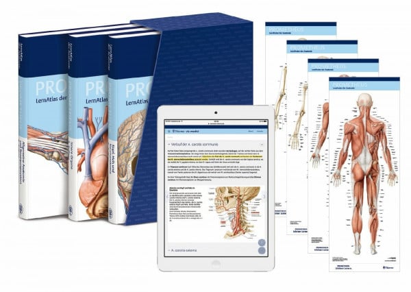 Schulte, Erik PROMETHEUS LernPaket Anatomie: LernAtlas Anatomie