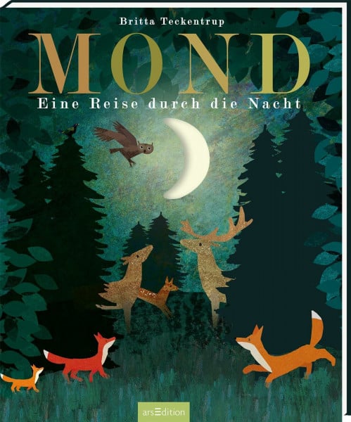 Teckentrup, Britta Mond: Eine Reise durch die Nacht | Gereimtes Bilderbuch zur Guten Nacht, mit Gucklöchern, hochwertig ausgestattet, für Kinder ab 4 Jahren (Britta Teckentrup Bilderbücher)