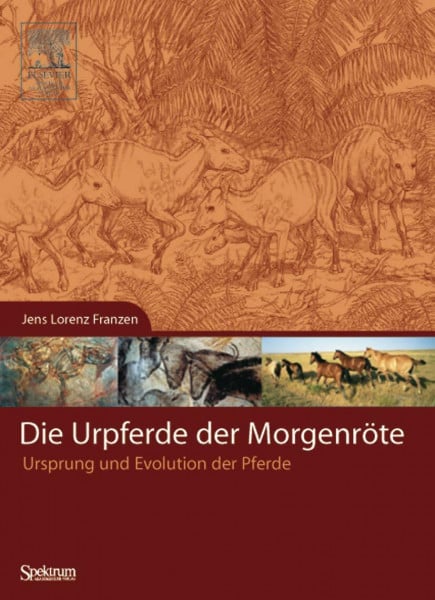 Franzen, Jens Lorenz Die Urpferde der Morgenröte: Ursprung und Evolution der Pferde
