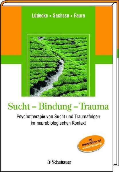 Lüdecke, Christel Sucht - Bindung - Trauma: Psychotherapie von Sucht und Traumafolgen im neurobiologischen Kontext