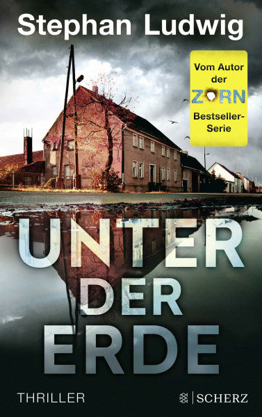 Ludwig, Stephan Unter der Erde: Thriller