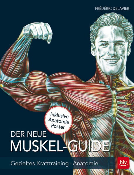 Delavier, Frédéric Der neue Muskel Guide: Gezieltes Krafttraining · Anatomie · Mit Poster (BLV Sport, Fitness & Training)