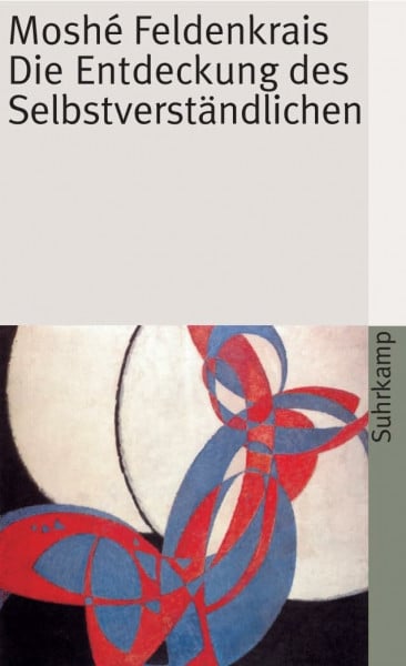 Wurm, Franz Die Entdeckung des Selbstverständlichen (suhrkamp taschenbuch)