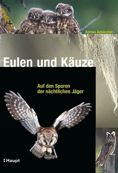 Aebischer, Adrian Eulen und Käuze: Auf den Spuren der nächtlichen Jäger
