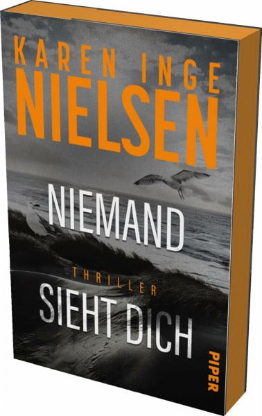 Nielsen, Karen Inge Niemand sieht dich (Grenzland 2): Thriller | Mit limitiertem Farbschnitt | Dunkle Morde im Grenzland | Die Thriller-Sensation aus Dänemark