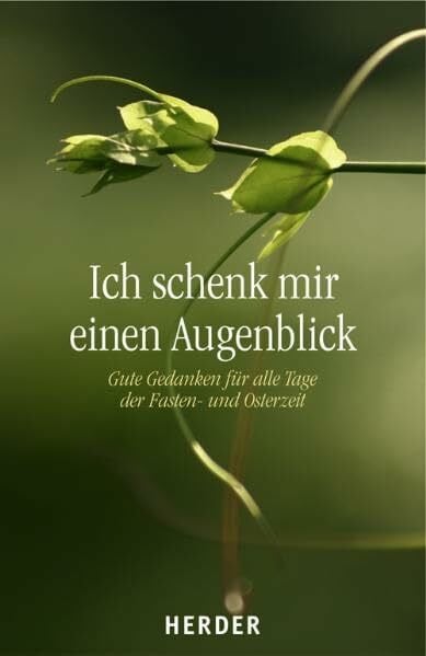 Hohn-Morisch, Ludger Ich schenk mir einen Augenblick: Gute Gedanken für alle Tage der Fasten- und Osterzeit