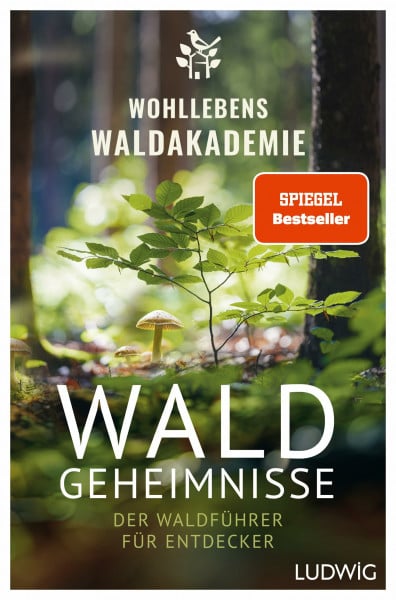 Wohllebens Waldakademie Waldgeheimnisse: Der Waldführer für Entdecker - Vorwort von Peter Wohlleben