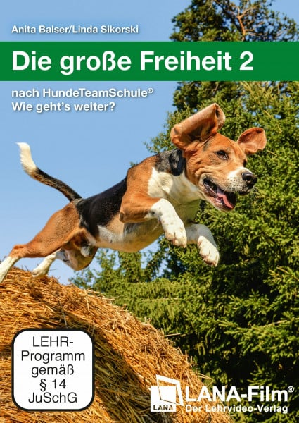 Balser, Anita Die große Freiheit 2: nach HundeTeamSchule® Wie geht's weiter?